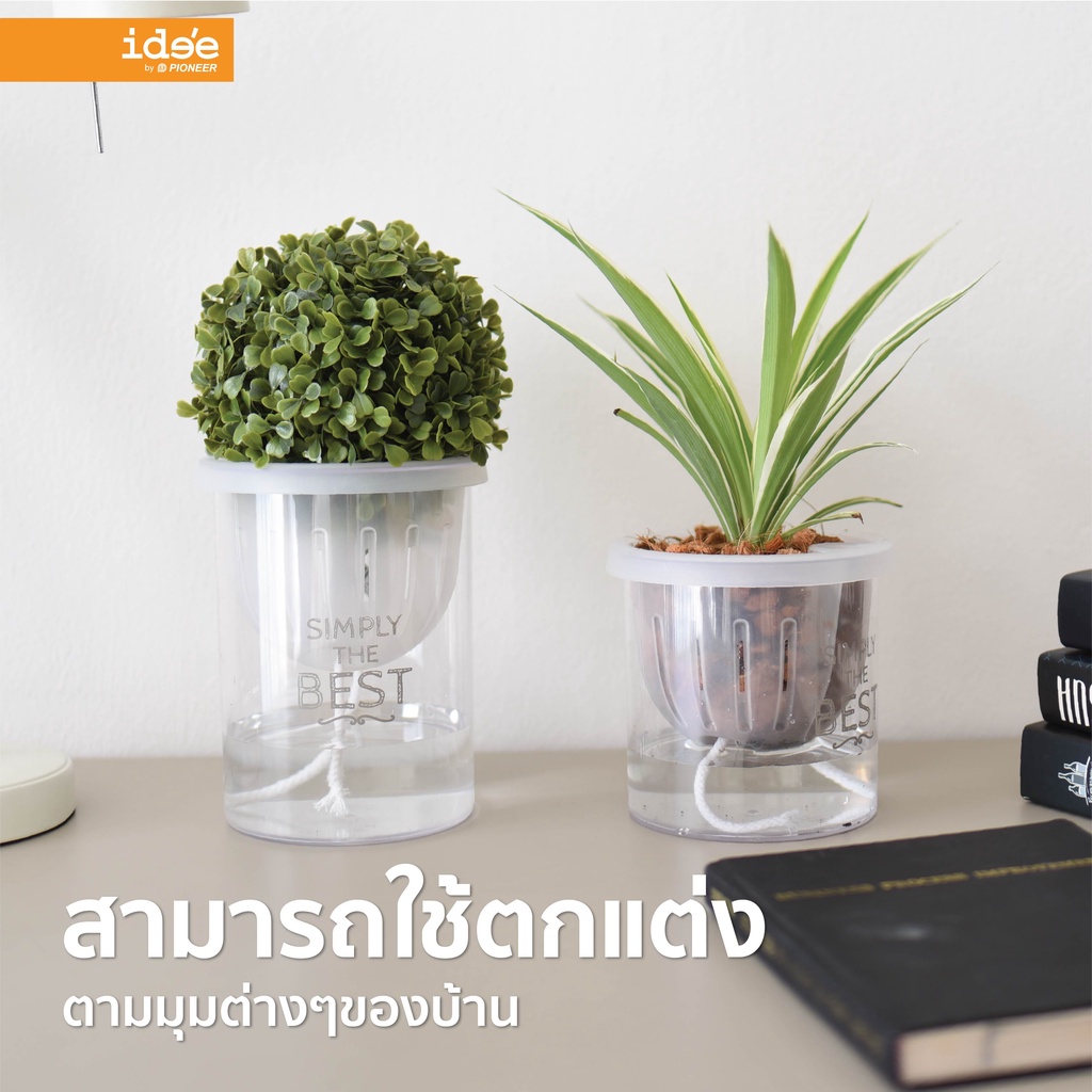 ภาพสินค้าide'e  NEW  กระถางต้นไม้รดน้ำอัตโนมัติ ขนาด 4 นิ้ว ทรงสูง รุ่น Self-watering (PN628LA) กระถางต้นไม้พลาสติก จากร้าน ideebypioneer บน Shopee ภาพที่ 6