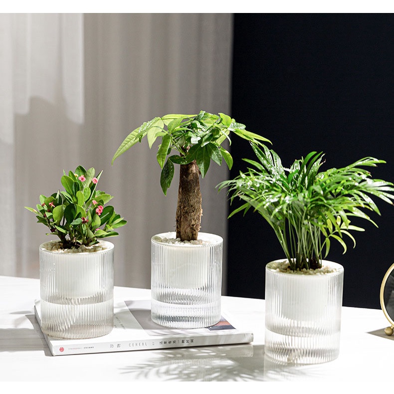 POTS-24 กระถางรดน้ำอัตโนมัติ 2 ชั้น ใส