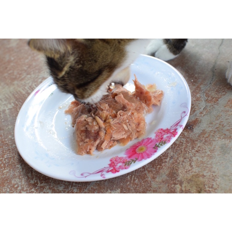 อาหารเปียกแมว-ยกแพ็ค30-ซอง-ทูน่าเยลลี่ซองเงินญี่ปุ่นขนาด-60g-ซองขาวเขียวอิตาลี่70g-พอดีแมว1ตัว