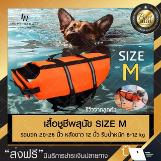 ภาพหน้าปกสินค้าชูชีพน้องหมา size M เสื้อชูชีพสุนัข อุปกรณ์ว่ายน้ำสุนัข สำหรับฝึกสุนัขว่ายน้ำ ไซซ์มาตรฐาน ที่เกี่ยวข้อง