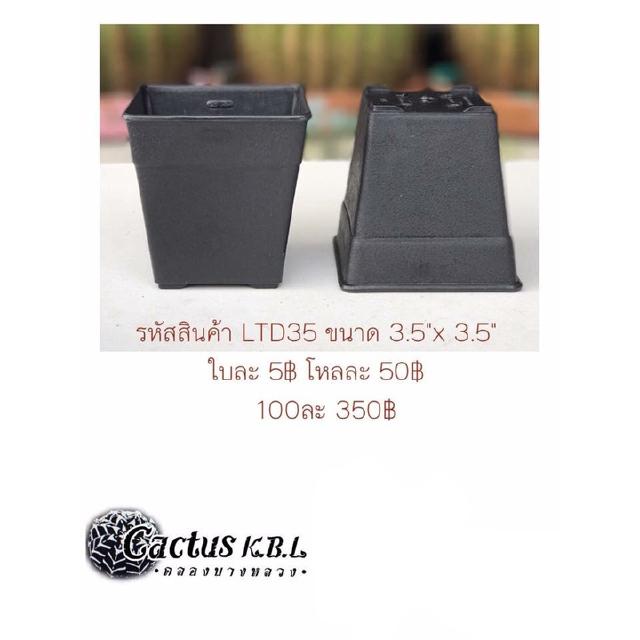 LDT35 กระถางต้นไม้แคคตัส ขนาด 3.5 x 3.5 นิ้ว 100 ใบ