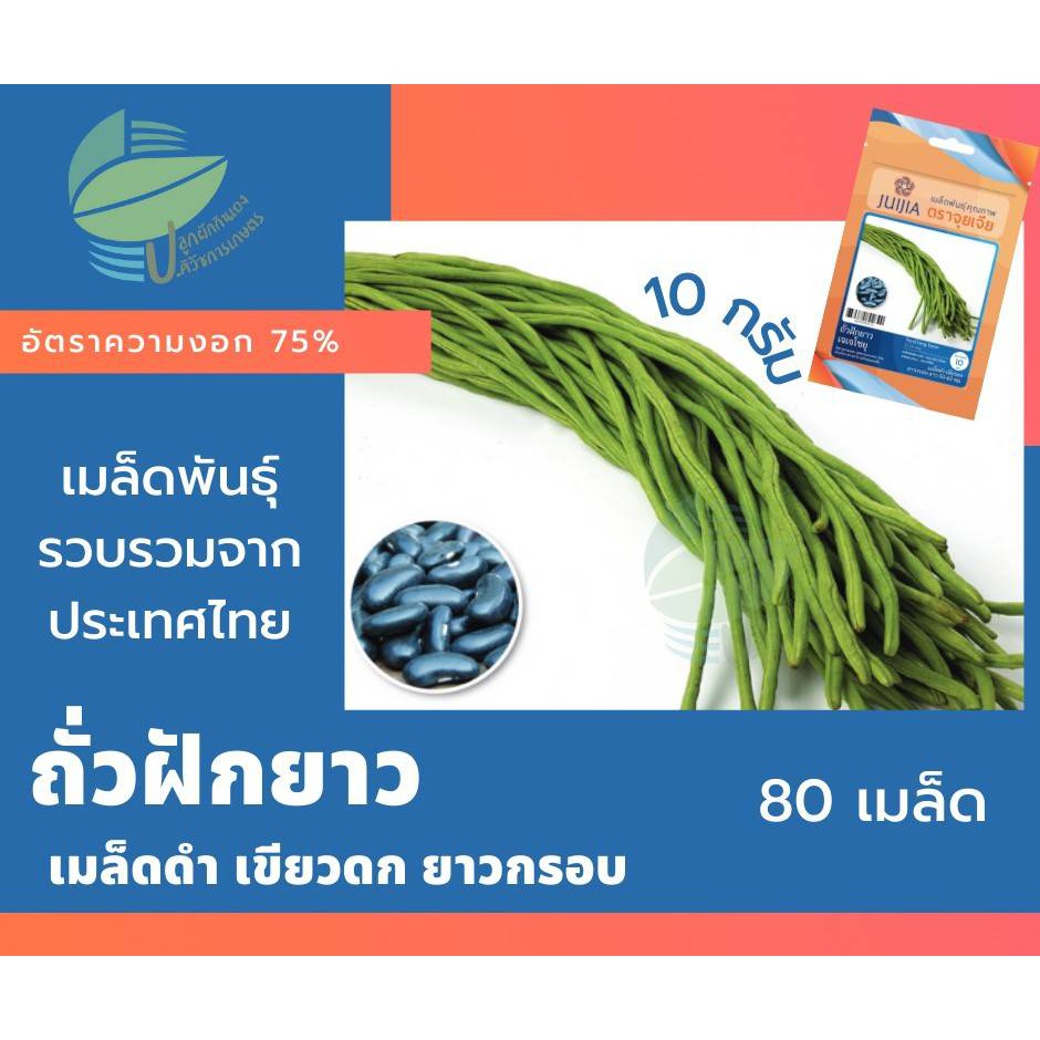 ถั่วฝักยาว-เมล็ดดำ-yard-long-bean