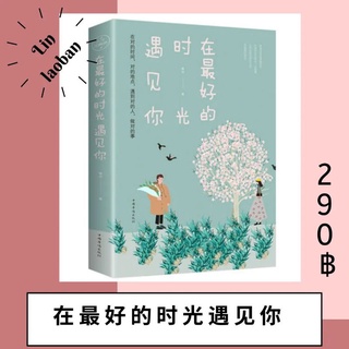 นิยายจีน หนังสือจีน 在好的时光遇见你