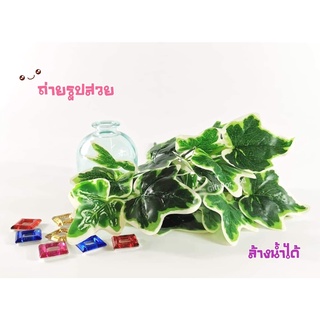  ใบไอวี่ 7 กิ่ง ใบไม้ปลอม ใบไม้ประดิษฐ์ เหมือนจริง ใช้ตกแต่งสถานที่ พร็อพถ่ายรูป จัดแจกัน