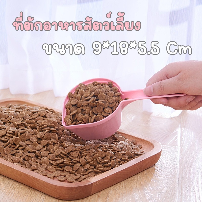 ที่ตักอาหารสัตว์เลี้ยง-อุปกรณ์สัตว์เลี้ยงหมาแมว-ช้อนตักอาหารหมาแมว-ที่ตักอาหารเม็ด