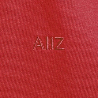 ภาพขนาดย่อของภาพหน้าปกสินค้าAIIZ (เอ ทู แซด) - เสื้อยืดผู้หญิงคอวีแขนสั้น  V-Neck T-Shirts จากร้าน aiiz_officialstore บน Shopee