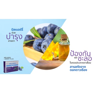 ภาพขนาดย่อของภาพหน้าปกสินค้าWELNESS I-BERRY PLUS BY TV DIRECT จากร้าน tvdoutlet บน Shopee ภาพที่ 3