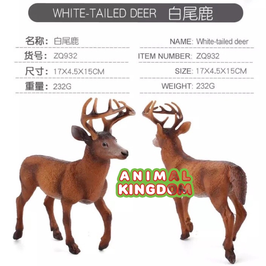 animal-kingdom-โมเดลสัตว์-กวาง-แดง-ขนาด-16-00-cm-จากหาดใหญ่