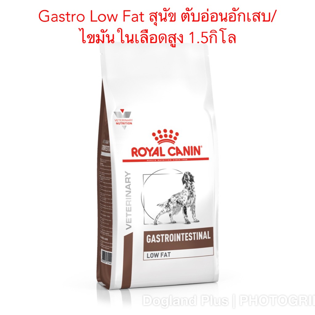 Low Fat Gastrointestinal Royal Canin Discount 59 OFF 48 44 OFF