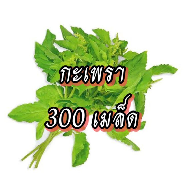 เมล็ดผักสวนครัว-เมล็ดผักชุดที่1-คะน้า-ผักกาดขาว-กะเพรา-ผักชีฝรั่ง-ผักกาดหอม