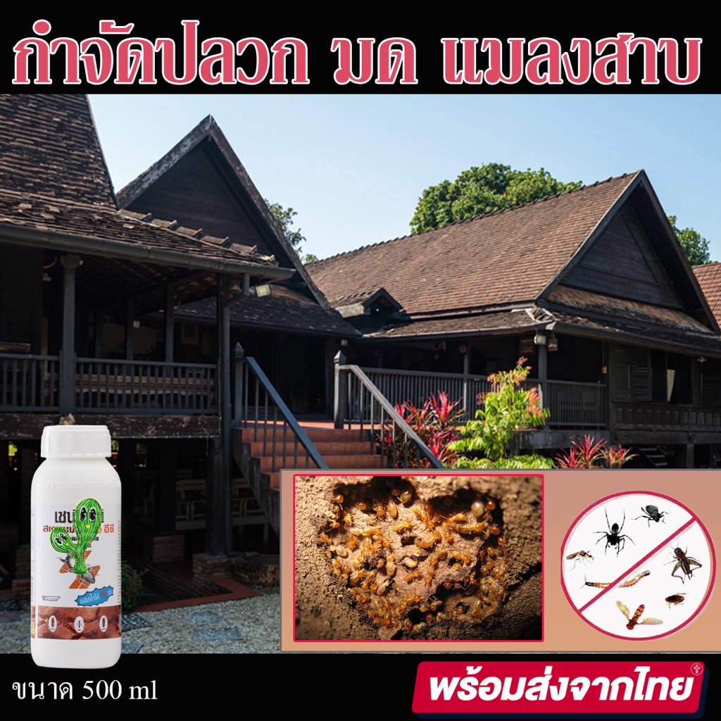 ป้องกันและกำจัดปลวก-มด-และแมลงที่อาศัยอยู่ใต้ดิน-ขนาด-500-ml-เชนได้ร์ท-สเตดฟาส-40-อีซี-แมลงสาบ-ยุง-พ่นยุง-แมลงวัน-ไร