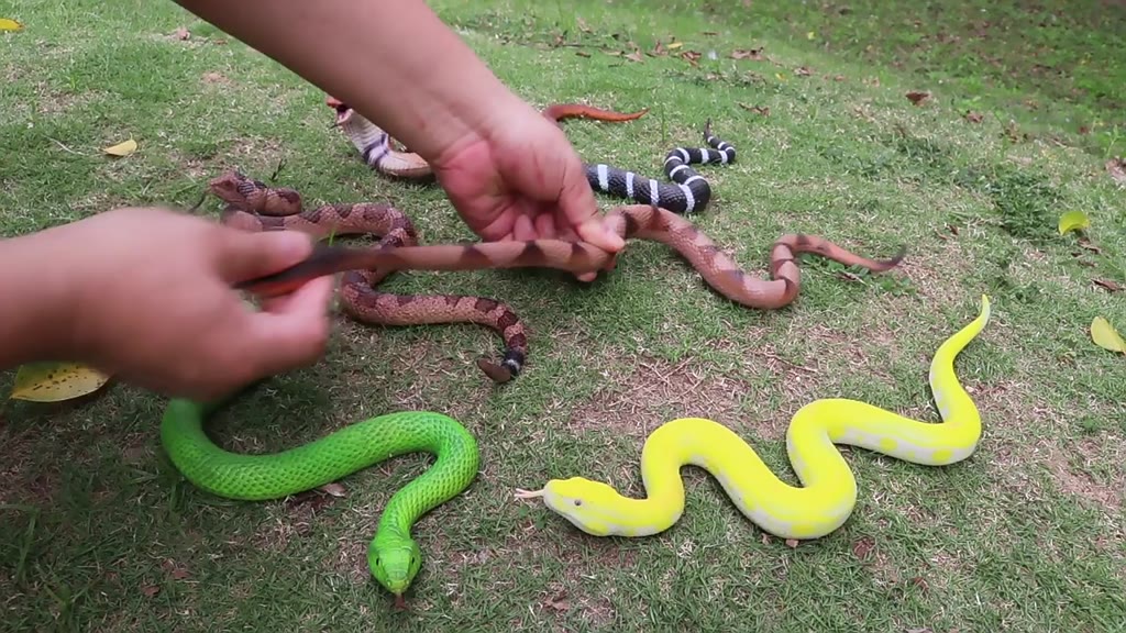 ผู้ผลิต-ขายส่ง-โมเดลงูยางนิ่ม-รูปสัตว์เลื้อยคลาน-สัตว์สะเทินน้ําสะเทินบก-งู-สีทอง-ของเล่นเสริมการเรียนรู้-สําหรับเด็ก