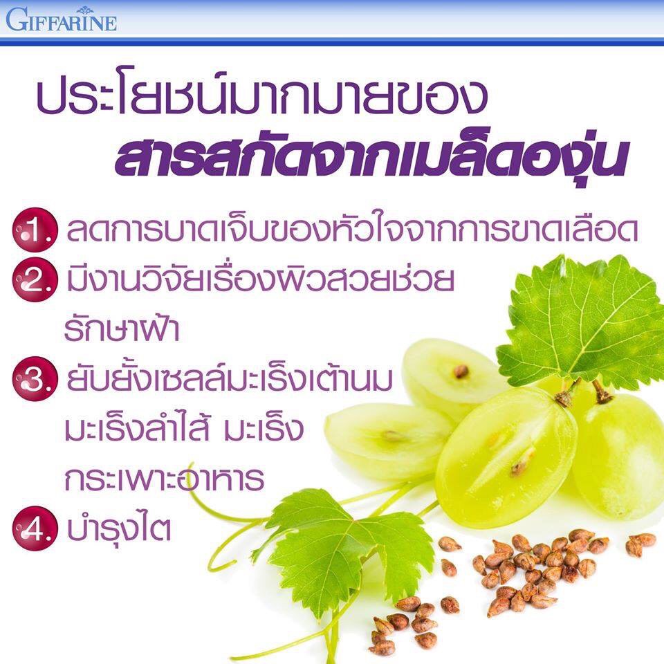 grape-seed-สารสกัดจากเมล็ดองุ่น-ลดฝ้า-กระ-ผิวกระจ่างใส-เกรป-ซี-อี-และ-เกรป-แมกซ์-เมล็ดองุ่น-กิฟฟารีน-grape-c-e-giffarine