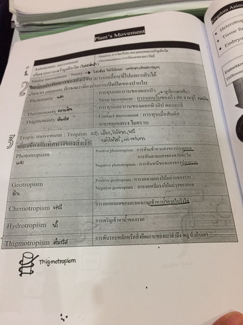 สรุปชีววิทยา-art-beam-หมอพิชญ์