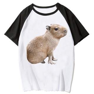 Capybara เสื้อยืดลําลอง แขนสั้น พิมพ์ลาย ulzzang harajuku 2022 สําหรับผู้ชาย