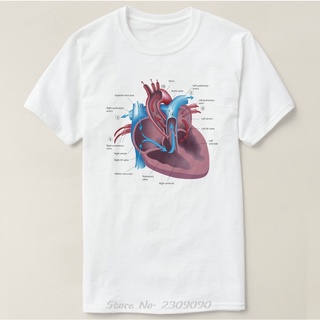 เสื้อยืดผ้าฝ้ายพรีเมี่ยม เสื้อยืดลําลอง ผ้าฝ้าย แขนสั้น พิมพ์ลาย Heart Anatomy ตลก สไตล์ฮาราจูกุ แฟชั่นฤดูร้อน สําหรับผู