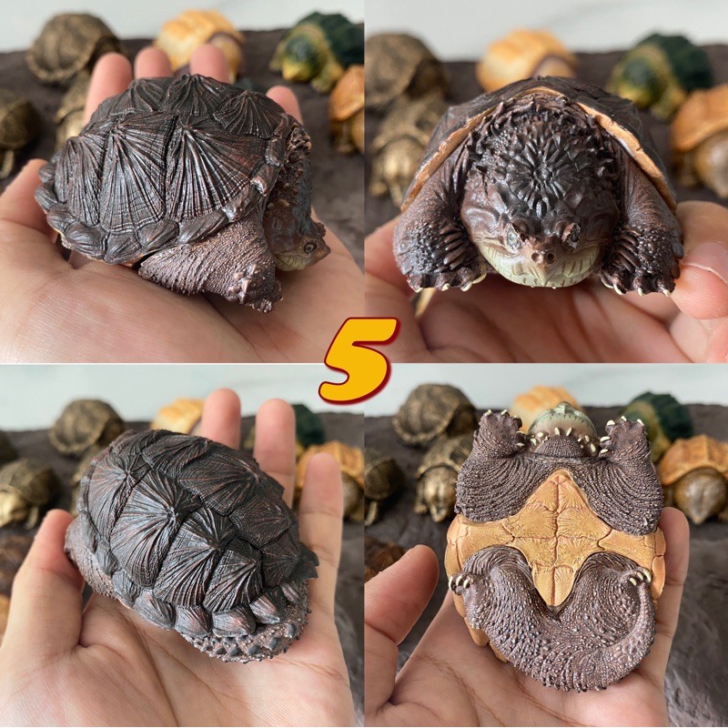 bighead series snipping turtle figurines recast โมเดลเต่าตัวเล็ก ...