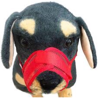 size XL สีเเดง mouth dog strap