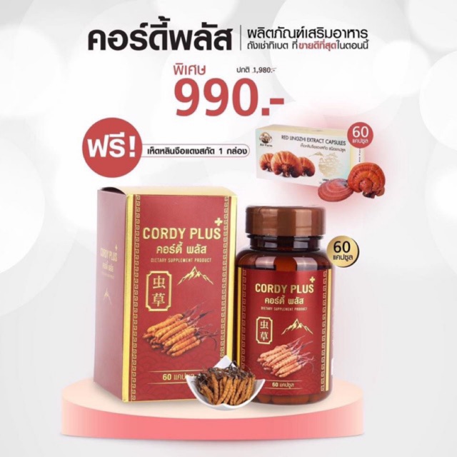 ถั่งเช่าแท้-ส่งฟรี-ถั่งเช่าทิเบตแท้-cordy-plus1-1แถม1