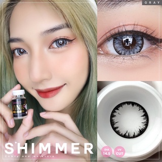 คอนแทคเลนส์🌈Shimmer🌈 Chestnut / Gray (Wink) ขนาดบิ๊กอาย💖