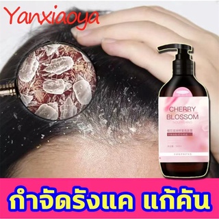 YANXIAOYA แชมพูขจัดรังแค500ml แชมพูสมุนไพร แชมพูสระผม ประกอบด้วยสารสกัดจากดอกซากุระ โฟมละเอียด คุมมัน บำรุงหนังศรีษะ ผมแ