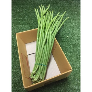 ถั่วฝักยาวสด🥒 - ผักผลไม้