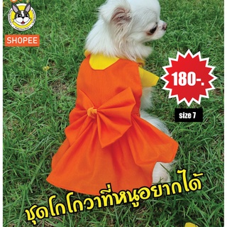 มาแล้วลูกจ๋า!! ชุดโกโกวา ที่หนูอยากได้ (ชุดน้องหมา-น้องแมว) ชุดโกโกวา 159 บาท