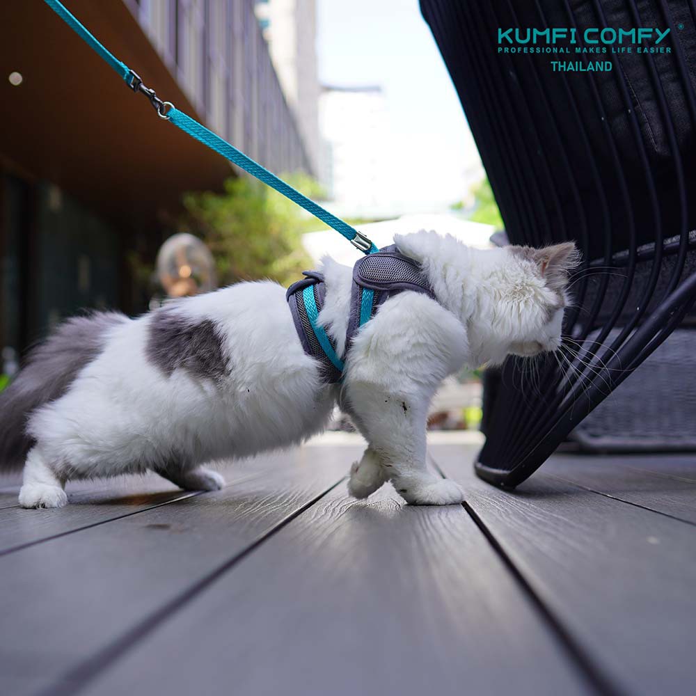สายรัดตัวแมว-cat-harness-kumfi-comfy-จากตัวแทนจำหน่ายอย่างเป็นทางการ-เจ้าเดียวในประเทศไทย