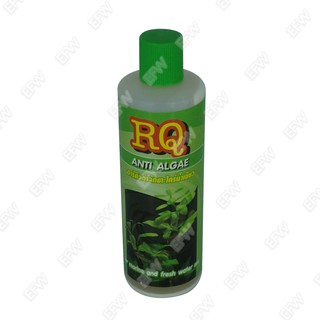 RQ anti algae กำจัด ตะไคร่น้ำเขียว แอนตี้ แอลจี อาร์คิว สาหร่าย น้ำเขียว 200ml