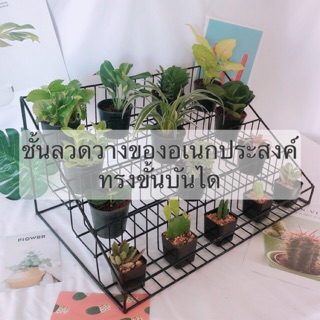 สินค้า ชั้นวางอเนกประสงค์ทรงขั้นบันได 4 ชั้น