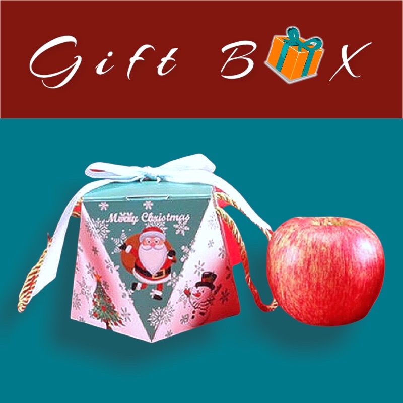 10-กล่อง-กล่องของขวัญคริสมาสต์เหลี่ยมเพชร-packaging-gift-box-present-box-specail-gift-christmas
