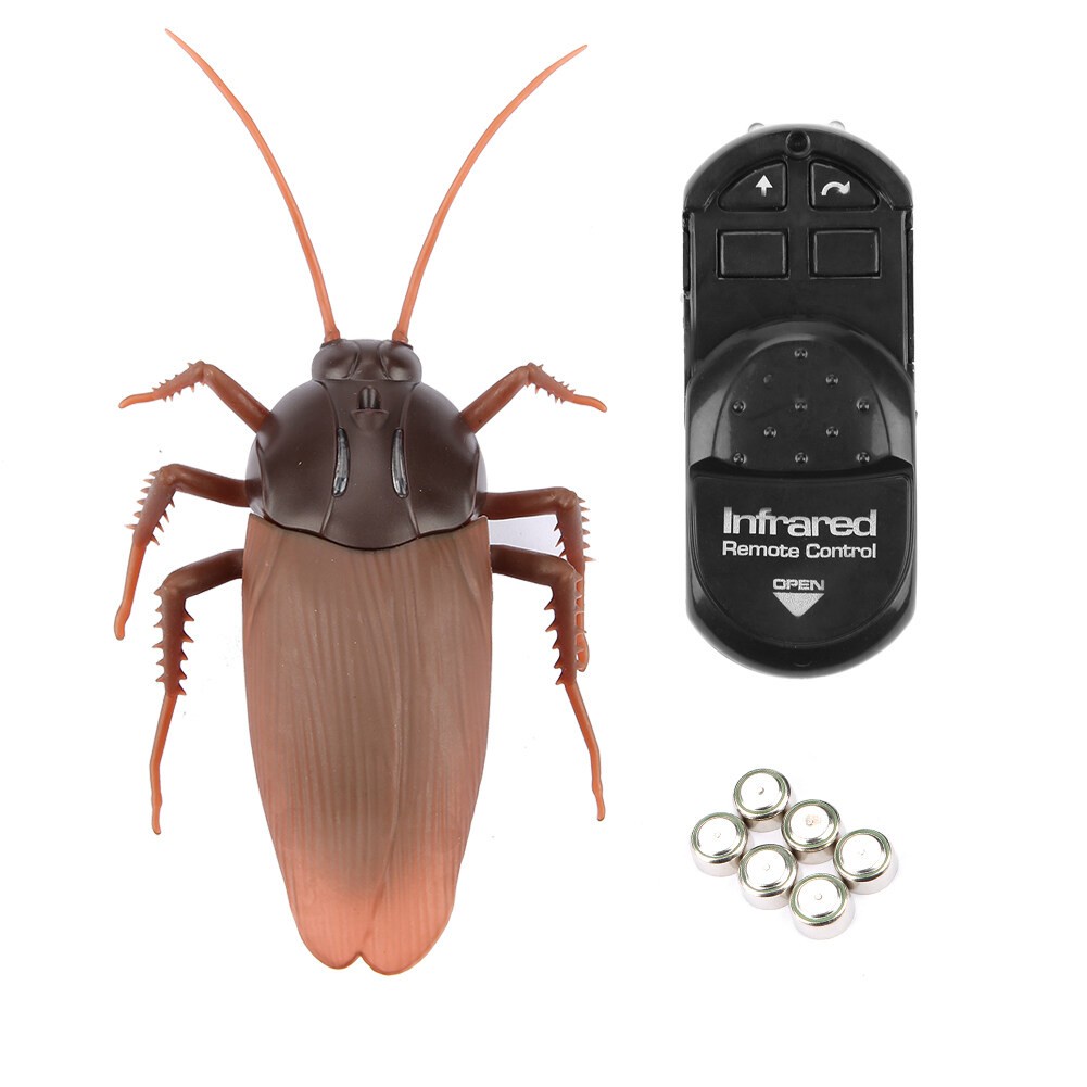 superhomeshop-แมลงสาบบังคับ-giant-roach-ของเล่นบังคับวิทยุ-ของเล่นรีโมท-ควบคุมระยะไกล-รุ่น-giant-roach-13jan-j1