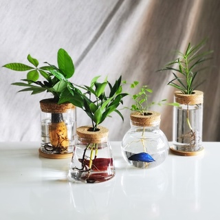 &lt;พร้อมส่ง&gt; แจกันขวดแก้ว Glass Vase (Cork Cover) แจกันตั้งโต๊ะ จุกไม้ก็อก 25แบบ แจกัน ประดับ ขวดโหล โหลแก้ว แต่งบ้าน