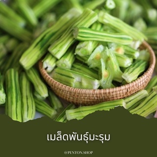 เมล็ดพันธุ์มะรุม  3 🔺ขั้นต่ำโปรดสั่งสินค้าภายในร้าน 30บาทขึ้นไปค่ะ