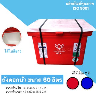 ถังแช่น้ำแข็งขนาด 60 ลิตร ตราดอกบัว สีแดง