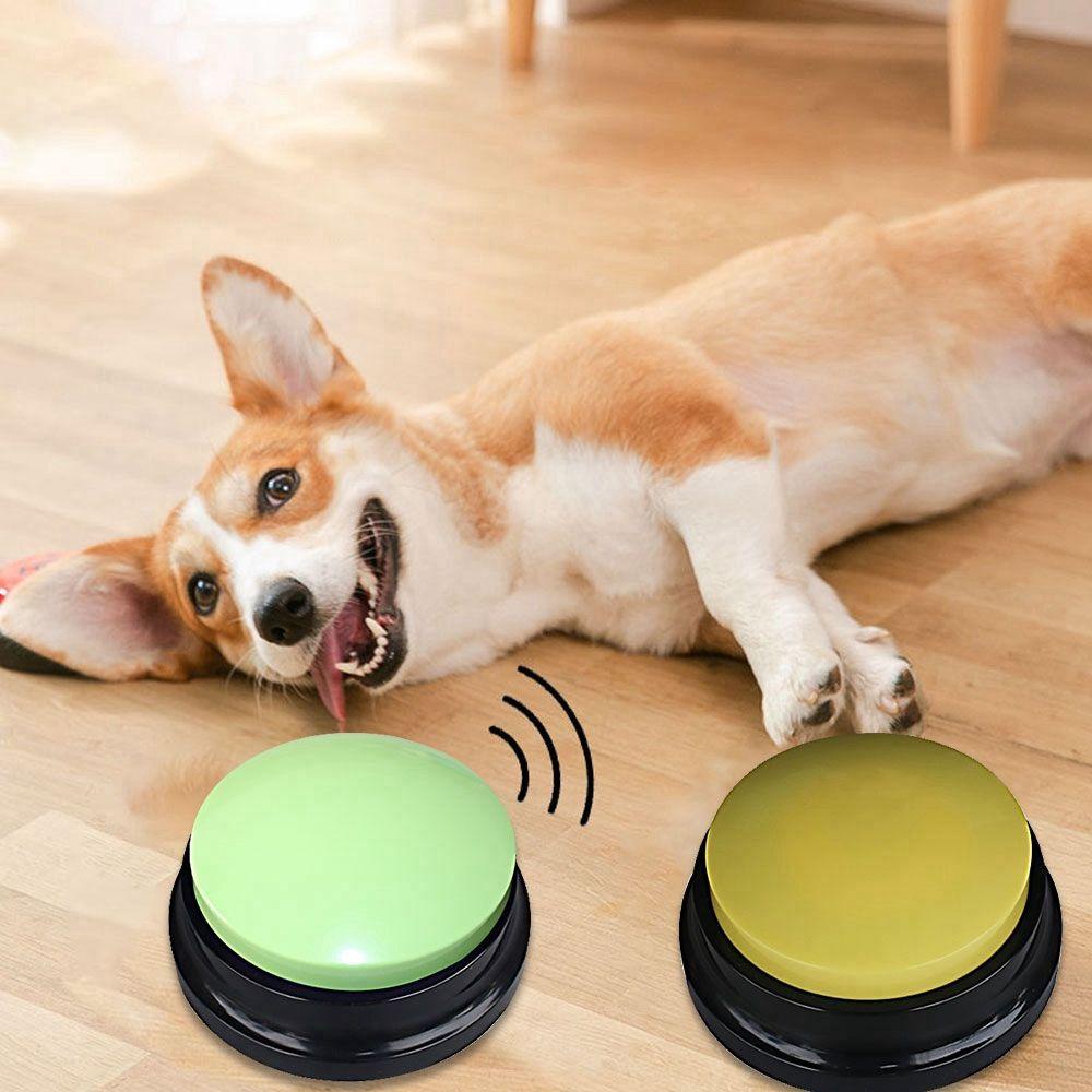 alisondz-ของเล่นสุนัข-สําหรับเด็ก-ของเล่นโต้ตอบ-บันทึกเสียง-อุปกรณ์สัตว์เลี้ยง-ปุ่มเสียง-ของเล่นบันทึกเสียงซ้ํา