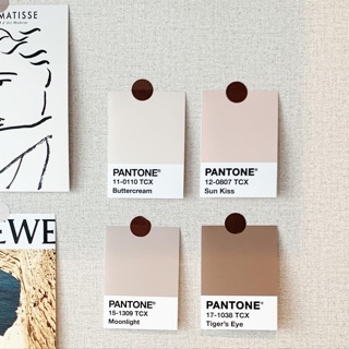 ภาพหน้าปกสินค้า*พร้อมส่ง* โปสเตอร์แต่งห้อง (Set 4 ชิ้น) Pantone ขนาด 3*4 นิ้ว ที่เกี่ยวข้อง