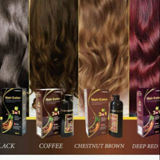 Hair Color Shampoo 3in1 500ml แชมพูเปลี่ยนสีผมสารสกัดธรรมชาติ