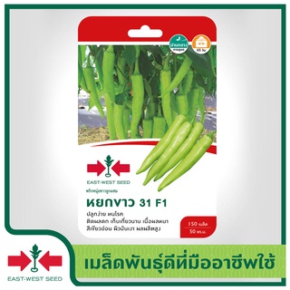 East-West Seed เมล็ดพันธุ์พริก (Hot pepper seeds) หยกข（นี่มันเมล็ดพืช ไม่ใช่พืช!）