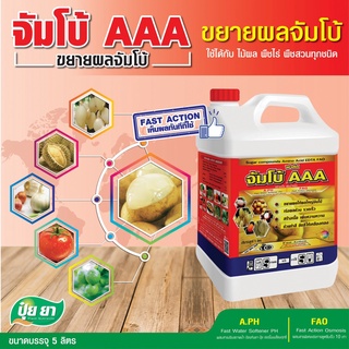 จัมโบ้ AAA ปุ๋ยยา ขยายผลเร่งด่วน ก่อนเก็บ 15-30 วัน เพิ่มหวาน เพิ่มรสชาติ เร่งด่วน 1 แกลอน (ขนาด 5 ลิตร)