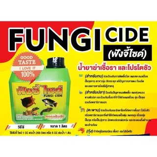 สินค้า 💊💊FUNGI CIDE(ฟังจี้ไซด์)​💊💊ขนาด1ลิตรน้ำยาฆ่าเชื้อรา กำจัดโปรโตซัว และพยาธิภายนอกทุกๆชนิด