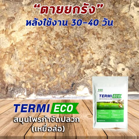 เหยื่อกำจัดปลวก-เหยื่อปลวก-อาหารปลวก-สมุนไพรเหยื่อกำจัดปลวก-termi-eco