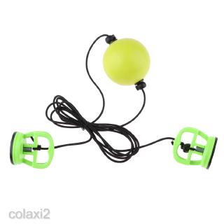 [COLAXI2] Double End Dodge Speed Ball MMA Boxing Floor to Ceiling Durable Punch Bag