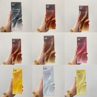 (มี 9 สี) Berina Hair Color Cream เบอริน่า ครีมเปลี่ยนสีผม 60 กรัม