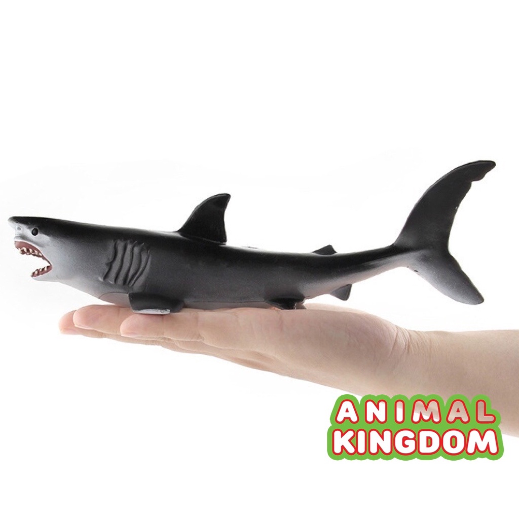 animal-kingdom-โมเดลสัตว์-ฉลามขาว-ขนาด-24-00-cm-จากสงขลา