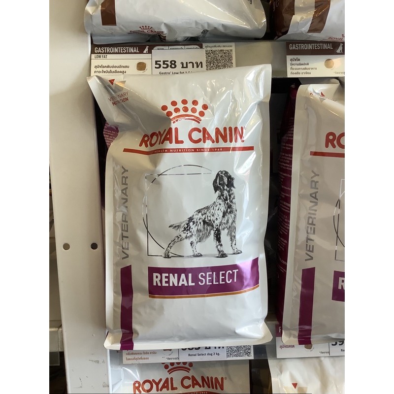 royal-canin-renal-select-2kg-อาหารสุนัขโรคไต-ชนิดเม็ดสำหรับสุนัขเลือกกิน