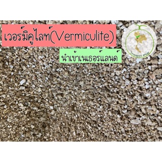 ภาพหน้าปกสินค้าเวอร์มิคูไลท์ (Vermiculite)นำเข้าเนเธอร์แลนด์🇳🇱500g ที่เกี่ยวข้อง