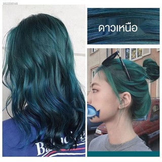 โฟมเปลี่ยนสีผม แม่สีย้อมผม ❁۞✟ยาย้อมผม ทรีทเม้นท์เปลี่ยนสีผม ย้อมผมสีเขียวโพลาริส ไ