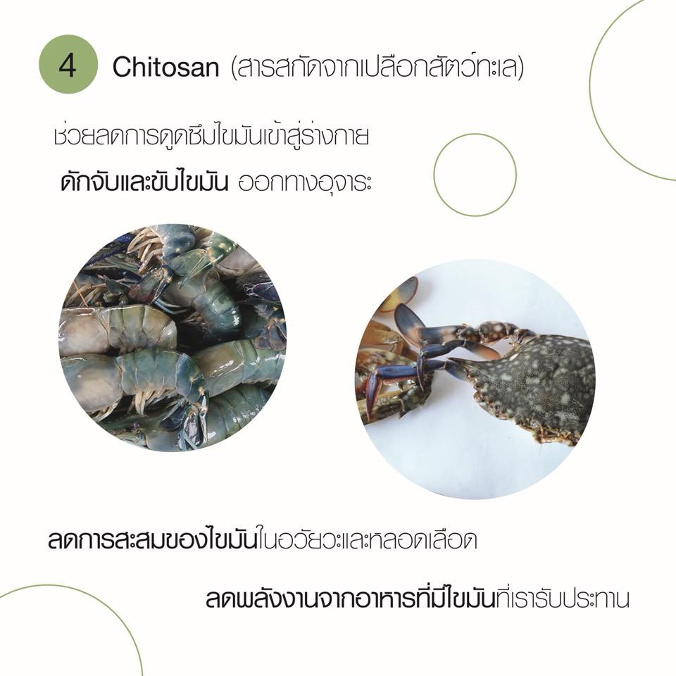 d24-orga-ดี-ทเวนตี้โฟร์-ออก้า-ออร์แกนิก-100-อาหารเสริมลดน้ำหนัก-ลดระดับคอเรสเตอรอล-ล้างสารพิษ-บรรจุ20แคปซูล-3กล่อง