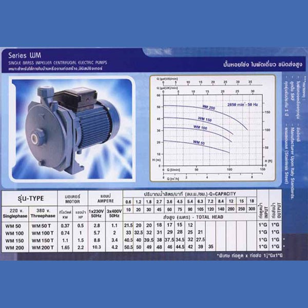 ปั๊มหอยโข่ง-euroflow-รุ่น-wm100-อิตาลี